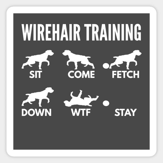 Wirehaired Pointing Griffon Training Wirehair Dog Tricks Sticker by DoggyStyles